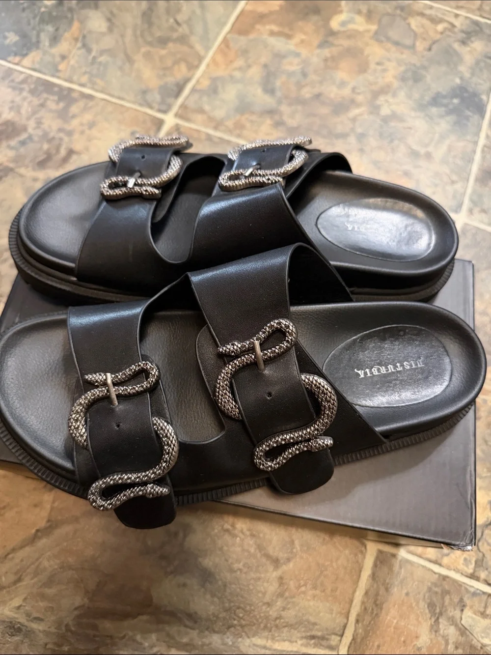 Disturbia Black Slide Sandal with Snake Buckles